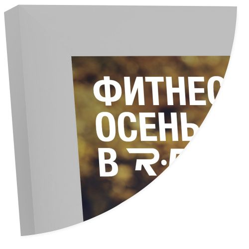 Рамка Нельсон 62, А0, серебро матовое анодир. в Уфе - картинка, изображение, фото